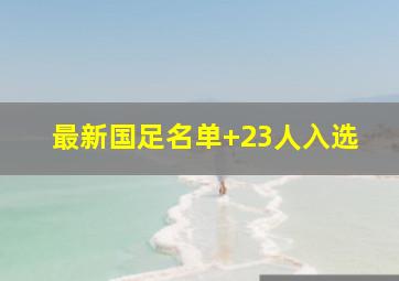 最新国足名单 23人入选